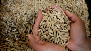 Besonders stark verteuerten sich Pellets (plus 31,3 Prozent gegenüber Juli 2025) und Heizöl ...