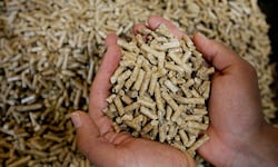 Bis zu 100 Euro mehr muss im Vergleich zum Vorjahr für eine Tonne Pellets bezahlt werden.