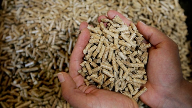 Besonders stark verteuerten sich Pellets (plus 31,3 Prozent gegenüber Juli 2025) und Heizöl ...