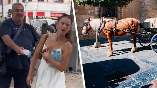 Nachdem sie ihn gebeten hatte, seinem Pferd Wasser zu geben, ging ein Kutscher auf die ...