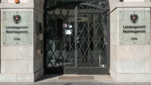Eine 34-jährige Mutter von fünf Kindern bekam am Montag am Landesgericht Linz eine Diversion, ...