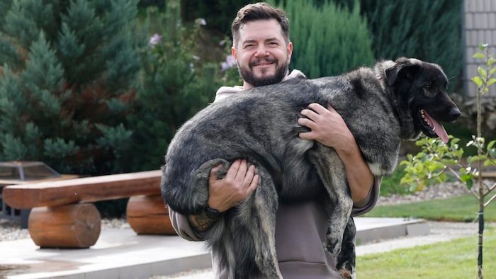 Ermüdet! Hündin „Finia“ nach dem Spielen mit den anderen tierischen Hotel-Gästen