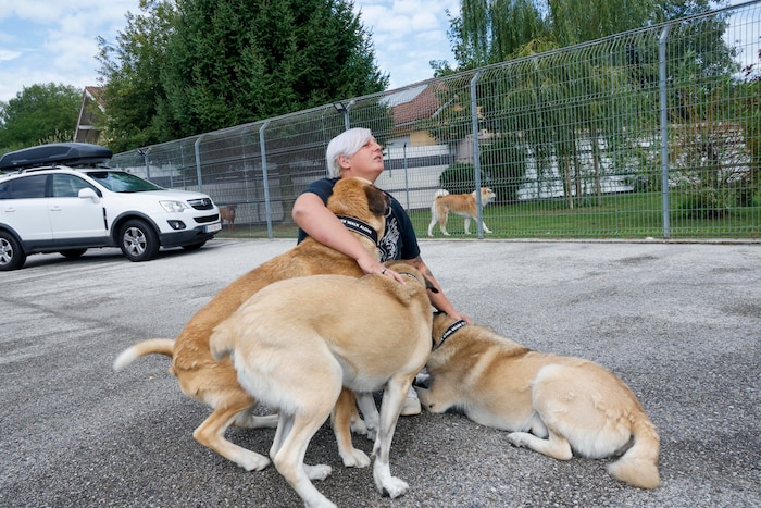 Evelin K. wird beim Abholen von ihren Hunden regelrecht überrannt. Sie ist Stammkundin bei Lisa ...