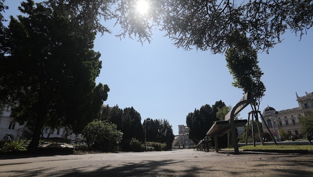 Im Sigmund-Freud-Park soll der 61-Jährige erneut auf seine Stieftochter losgegangen sein.