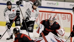 MacInnis (M.) und Köln gastieren in Salzburg.