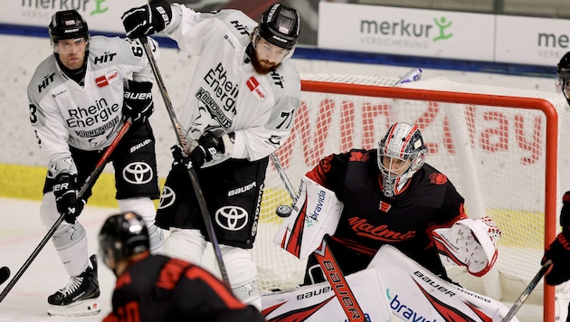 MacInnis (M.) und Köln gastieren in Salzburg.