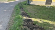 Auf einer Länge von genau neun Metern wurde die junge Hainbuchenhecke fein säuberlich ...