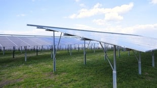 In Mitterkirchen scheiterte ein Photovoltaik-Projekt an naturschutzrechtlichen Bedenken ...