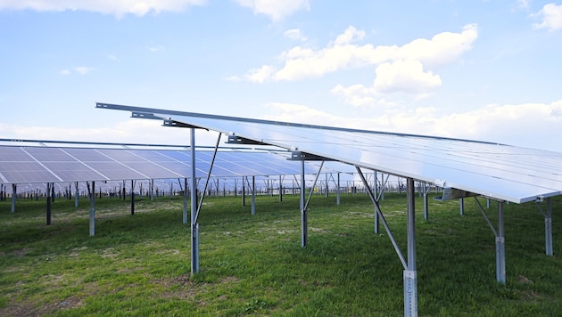 In Mitterkirchen scheiterte ein Photovoltaik-Projekt an naturschutzrechtlichen Bedenken ...