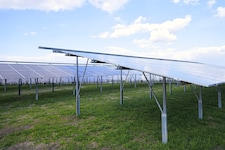 In Mitterkirchen scheiterte ein Photovoltaik-Projekt an naturschutzrechtlichen Bedenken ...