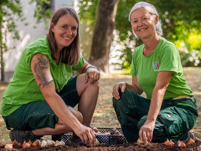Vorfreude auf den Frühling: 300.000 Blumenzwiebeln werden im Herbst für die Landesgartenschau ...
