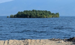 Diese bewaldete Insel sorgte für Rätselraten in Kanada.