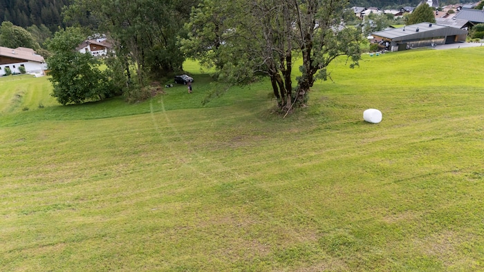 Das Pkw rollte quer über eine abschüssige Wiese, bis es von einem Baum gestoppt wurde.