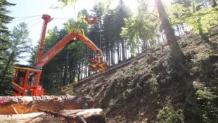 Holzschlägerung, -bringung und -zerkleinerung sind Teil des Arbeitsalltags eines ...