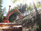 Holzschlägerung, -bringung und -zerkleinerung sind Teil des Arbeitsalltags eines ...