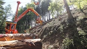 Holzschlägerung, -bringung und -zerkleinerung sind Teil des Arbeitsalltags eines ...