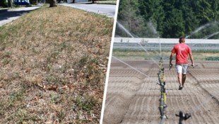 300.000 Euro stellt das Land für die Bauern wegen der Trockenheit heuer zur Verfügung.