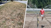 300.000 Euro stellt das Land für die Bauern wegen der Trockenheit heuer zur Verfügung.