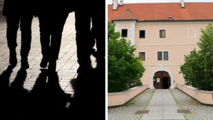 Eine Tat beim Schloss Vösendorf brachte eine Jugendbande in Wien vor den Richter. 