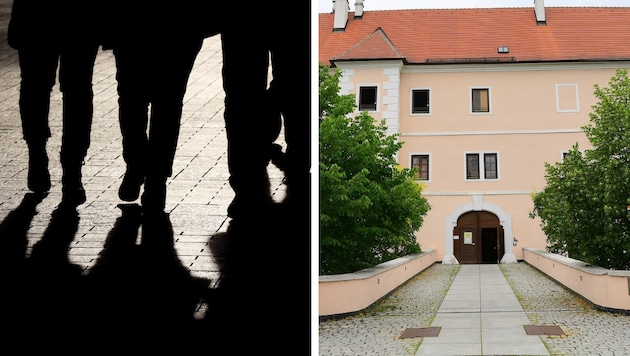 Eine Tat beim Schloss Vösendorf brachte eine Jugendbande in Wien vor den Richter.