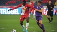 Fabio Ingolitsch kennt Oumar Diakite (o.) aus seiner Trainerzeit in Liefering. Jetzt gibt es in ...