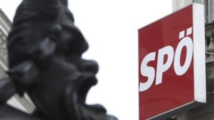 Turbulenzen bei der „Kleinstpartei“ SPÖ