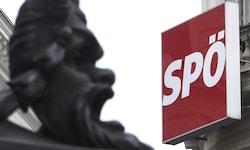 Turbulenzen bei der „Kleinstpartei“ SPÖ