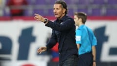 Gerald Baumgartner führte St. Pölten 2014 ins Cupfinale 