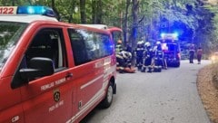 Die Feuerwehr rettete den Mann, der in diesem Waldstück gestürzt war. 