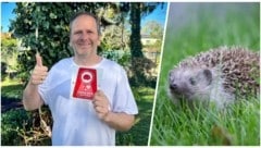Martin Aschauer von Tierschutz Austria wirbt für naturnahes Gärtnern – dafür gibt es sogar eine ...