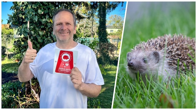 Martin Aschauer von Tierschutz Austria wirbt für naturnahes Gärtnern – dafür gibt es sogar eine ...