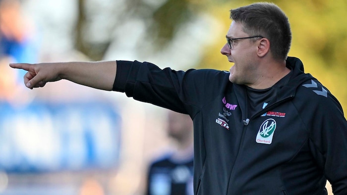 Ried-Trainer Mario Despotovic