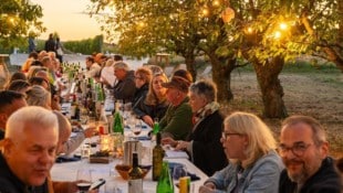 Genuss mitten in den Reben: Bei der fünften Winzertafel in Lutzmannsburg treffen edle Tropfen, ...