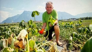 Gemüsebauer Johann Winkelhofer schlägt vor, die Landwirte mittels Förderungen zu unterstützen.