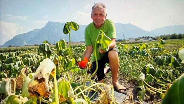 Gemüsebauer Johann Winkelhofer schlägt vor, die Landwirte mittels Förderungen zu unterstützen.