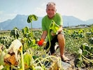 Gemüsebauer Johann Winkelhofer schlägt vor, die Landwirte mittels Förderungen zu unterstützen.