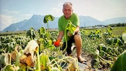 Gemüsebauer Johann Winkelhofer schlägt vor, die Landwirte mittels Förderungen zu unterstützen.