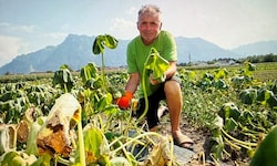 Gemüsebauer Johann Winkelhofer schlägt vor, die Landwirte mittels Förderungen zu unterstützen.