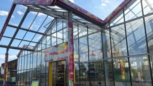 Große Sorgen herrschen derzeit in der Gärtnerei Schacherl in Stainz.