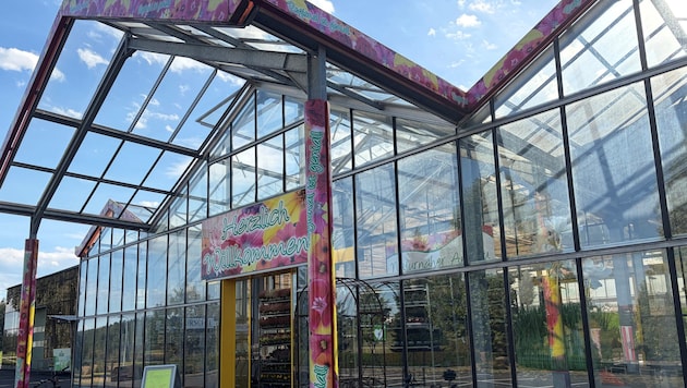 Große Sorgen herrschen derzeit in der Gärtnerei Schacherl in Stainz.