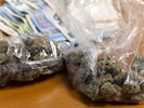 Ein Ehepaar soll im Bezirk Braunau daheim im Keller 25 Kilo Marihuana erzeugt und daneben auch ...