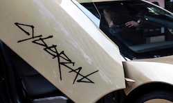 Für Musk ist der autonom fahrende Zweisitzer ein entscheidender Schritt, um Tesla zu einer ...