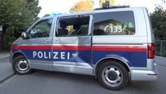 Der Beamte am Steuer des Streifenwagens konnte nicht mehr rechtzeitig reagieren und eine ...