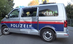 Der Beamte am Steuer des Streifenwagens konnte nicht mehr rechtzeitig reagieren und eine ...