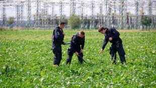 Polizisten suchen beim Umspannwerk Bergheim ein Feld ab. Dort kam es am Dienstag zu einem ...