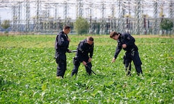 Polizisten suchen beim Umspannwerk Bergheim ein Feld ab. Dort kam es am Dienstag zu einem ...