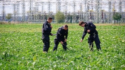 Polizisten suchen beim Umspannwerk Bergheim ein Feld ab. Dort kam es am Dienstag zu einem ...