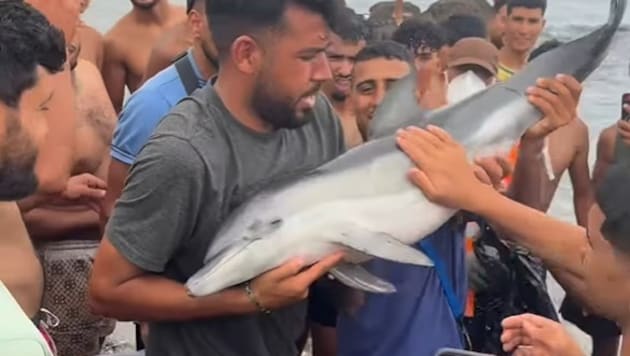 Diese Szenen aus Ceuta sorgen für Empörung.