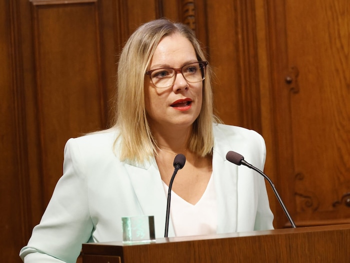 Daniela Schlüsselberger (SPÖ)