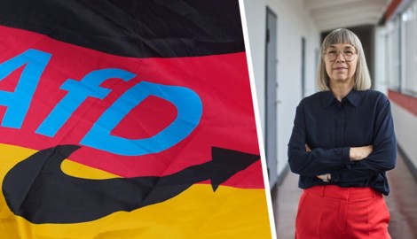 Barbara Steiner leitet seit 2021 die Stiftung Bauhaus in Dessau. Die AfD ist davon wenig ...